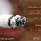 اليوم العالمي بدون تدخين